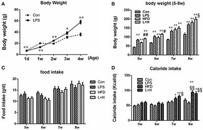 Prenatal Lipopolysaccharide Exposure Promotes Dyslipidemia in the Male Offspring Rats